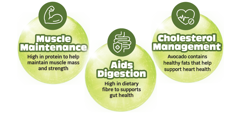 Muscle Maintenance Cholesterol Management Aids Digestion